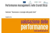 La governance e strategie nelle grandi città - Progetto Valutazione delle Performance
