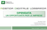 2012 10 17 open data x imprese