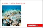L'idrosfera marina (1)