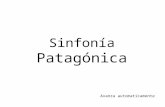 Sinfonia Patagonica