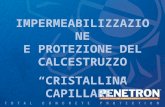 Enrico Maria Gastaldo Brac, Sistema PENETRON®: "il calcestruzzo impermeabile"