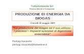 3 muraro biogas-processo
