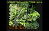 Jardines Verticales De Patrick Eliza