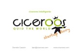 CicerOOs, startup story