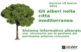 D.ssa Ornella Dondè - Sistema informativo alberature - Uno uno strumento per la gestione del patrimonio arboreo comunale