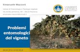 Mazzoni   problemi entomologici del vigneto - broni 13-02-2014-r