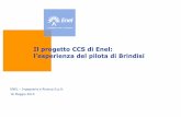 Giancarlo Benelli, Enel - I costi della separazione-cattura della CO2: indicazioni dall'impianto pilota di Brindisi