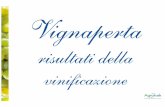 Vignaperta 2005 (parte3)