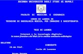 Web 2.0 in ambito sanitario e radiologico - Carlo di Lorenzo Napoli Tesi Laurea