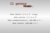 Genere Homo