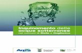 L'inquinamento delle acque sotterranee nei comuni di Biella e Gaglianico