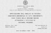 Applicazione dell'Analisi di Rischio sanitario-ambientale ai siti contaminati: caso studio nella Regione Marche attraverso l'utilizzo di software freeware