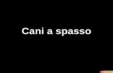 Cani a-spasso