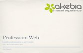 Professioni web 2013