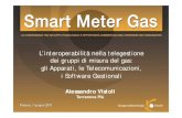 L’interoperabilità nella telegestione dei gruppi di misura del gas: gli apparati, le telecomunicazioni, i software gestionali