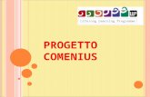 Progetto Comenius