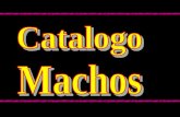 Catalogo Machos