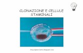 Clonazione Stem Cell 2009