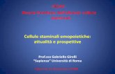 Cellule Staminali Emopoietiche: attualità e prospettive