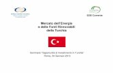 Mario Salustri,WEC Italia -  Mercato dell'Energia e delle fonti rinnovabili della Turchia
