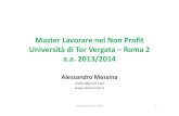 02 master nonprofit tor vergata 2014 messina forme giuridiche e numeri delle organizzazioni senza scopo di lucro in Italia