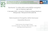 Valorizzazione Energetica delle biomasse - Giacobbe Braccio