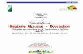 Ecocarbon regione Abruzzo