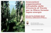 Romano Masè - Innovazioni organizzative introdotte dalla Provincia di Trento per la filiera foresta-legno-energia