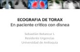 Ecografia de torax y Protocolo BLUE