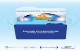 Unione Europea: e-commerce manuale operativo