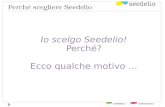 Descrizione Del Servizio Sedelio: Perche Scelgo Seedelio.com