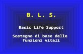 BASIC LIFE SUPPORT