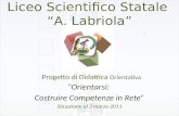 Progetto di didattica orientativa 3 marzo 2011