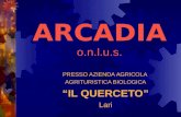 Arcadia o.n.l.u.s