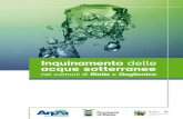 Inquinamento delle acque sotterranee nei comuni di Biella e Gaglianico
