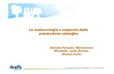 Arpa Piemonte - La meteorologia a supporto della prevenzione valanghe di Renata Pelosini