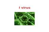 14 virus intro