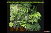 Jardines Verticales De Patrick Blanc A