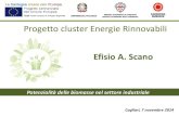 Potenzialità delle biomasse nel settore industriale - Efisio Antonio Scano