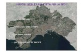 Napoli ciclabile: dati e curiosità