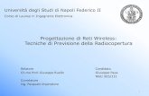 Bachelor's Degree - Giuseppe Papa