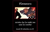 Second Life - Passione flamenca