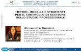 Alessandra Damiani - Il controllo di gestione nello studio professionale