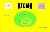 3b Torriero Atomi E Macromolecole