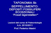 05b  T A F O N O M I A Seppellimento Fossil Lagerstatten