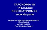 04b  T A F O N O M I A  Processi Biostratinomici 2
