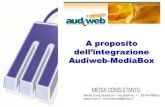 Audiweb Assocomunicazione Nov2009 Materialedadistribuire