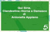 "Qui Siria, clandestina ritorna a Damasco"  di Antonella Appiano, Quintadicopertina editore
