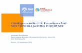 L’intelligenza nelle città: l’esperienza Enel nelle Tecnologie Avanzate di Smart Grid