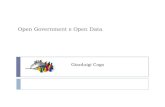 Open Government e Open Data